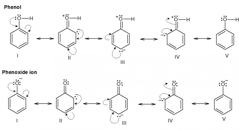 Living Polymerization Chain Walking Monomer Ethylene - Propene Transparent PNG