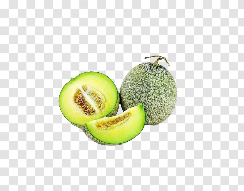 Honeydew Haiyang Hami Melon Cantaloupe Galia - Green Transparent PNG
