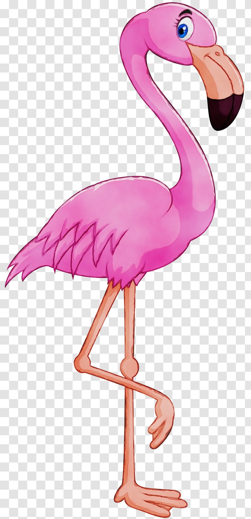 Flamingo Watercolor - Pink - Stork Water Bird Transparent PNG