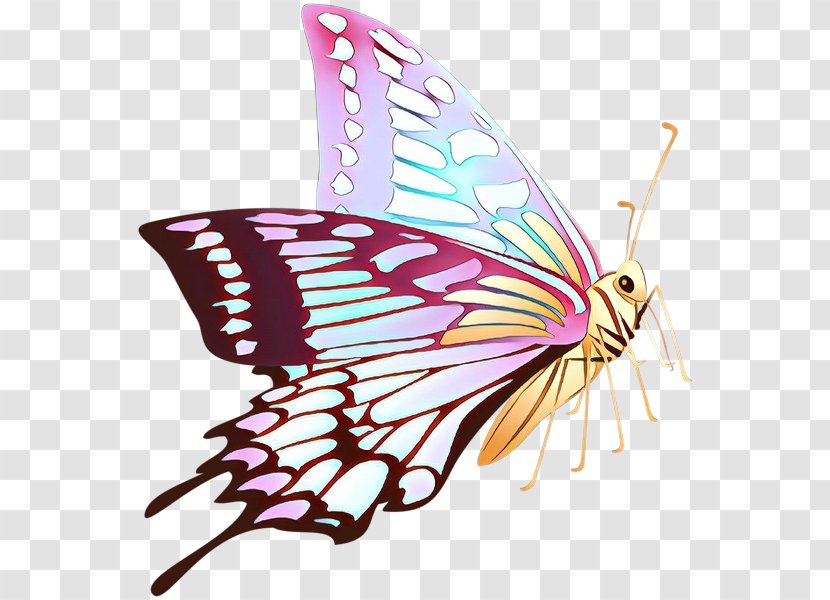 Monarch Butterfly Clip Art Stock Photography Illustration - Pink - Swallowtail Transparent PNG