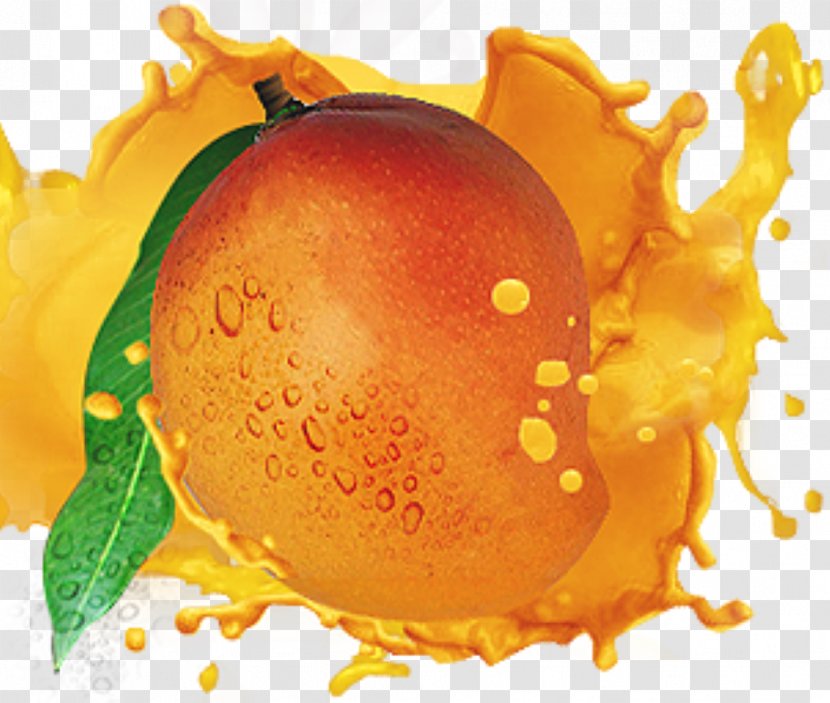 Juice International Mango Festival Milkshake Alphonso - Concentrate Transparent PNG