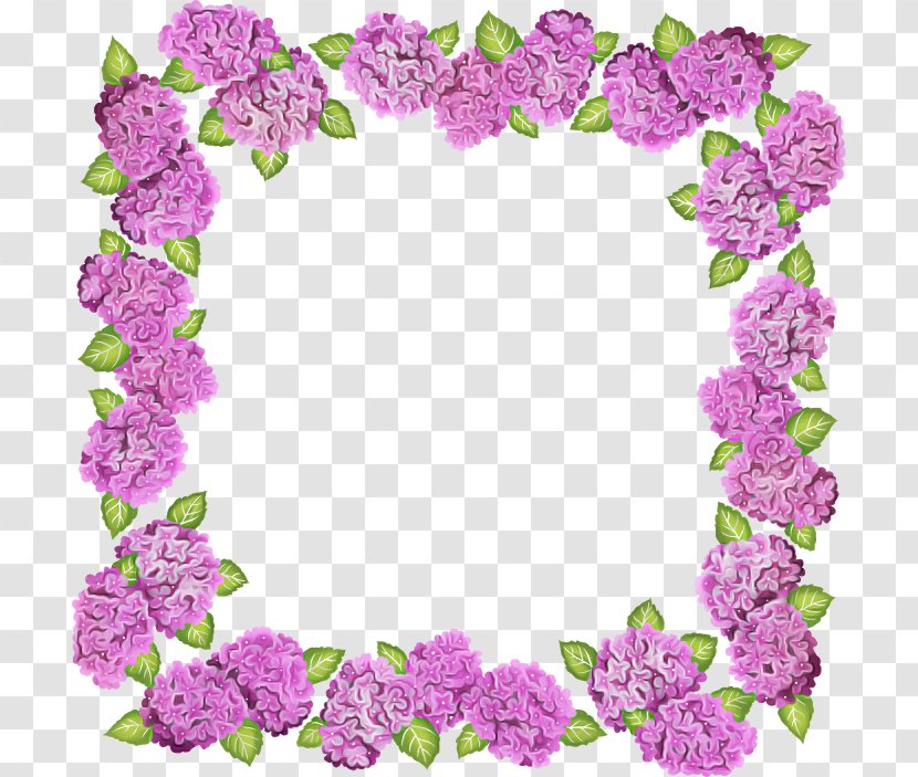 Picture Frame - Lilac - Flower Hydrangea Transparent PNG