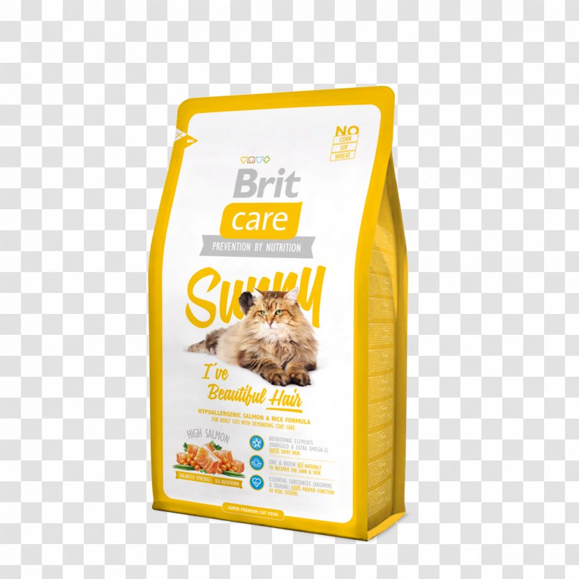 Cat Food Kitten Pet - Sterilized Mycoplasma Transparent PNG