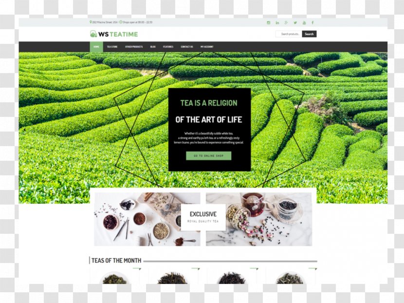 WordPress WooCommerce Tea Responsive Web Design Cafe - Organism Transparent PNG