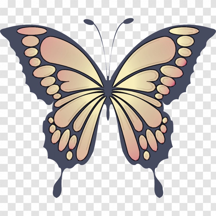Monarch Butterfly - Brushfooted - Swallowtail Transparent PNG