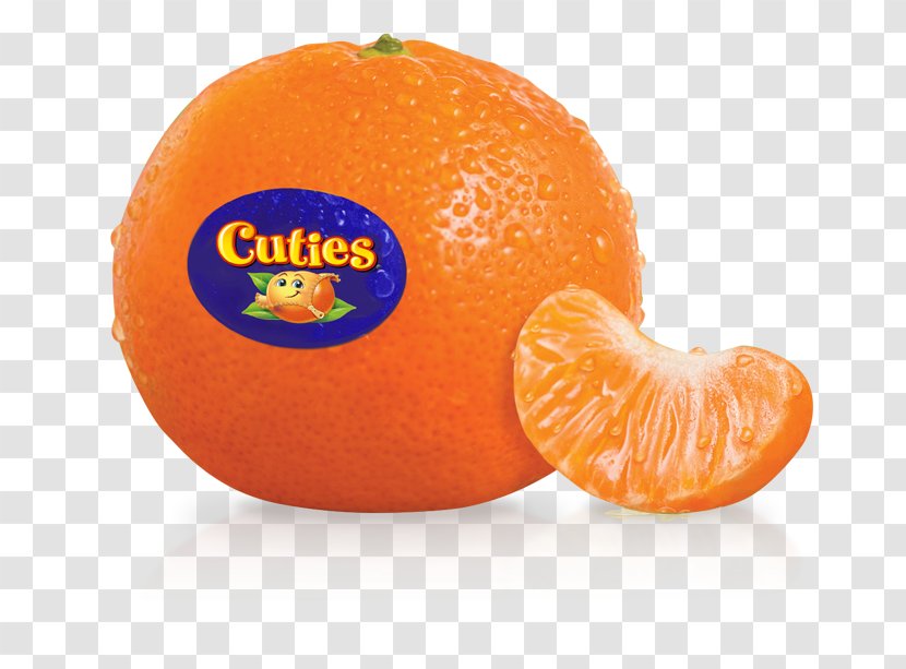Mandarin Orange Juice Clementine Tangerine Transparent PNG