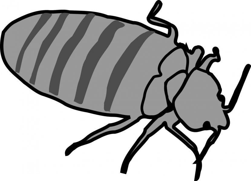 Bed Bug Bite Clip Art - Software - Making Clipart Transparent PNG
