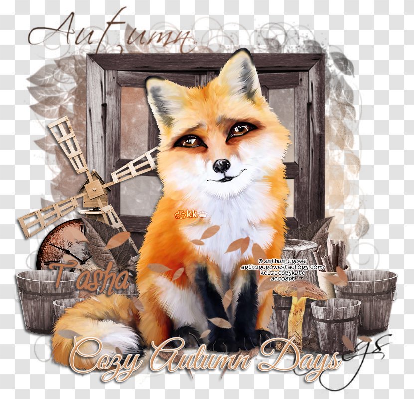 Red Fox Mammal Dog Whiskers Canidae - Cozy Transparent PNG