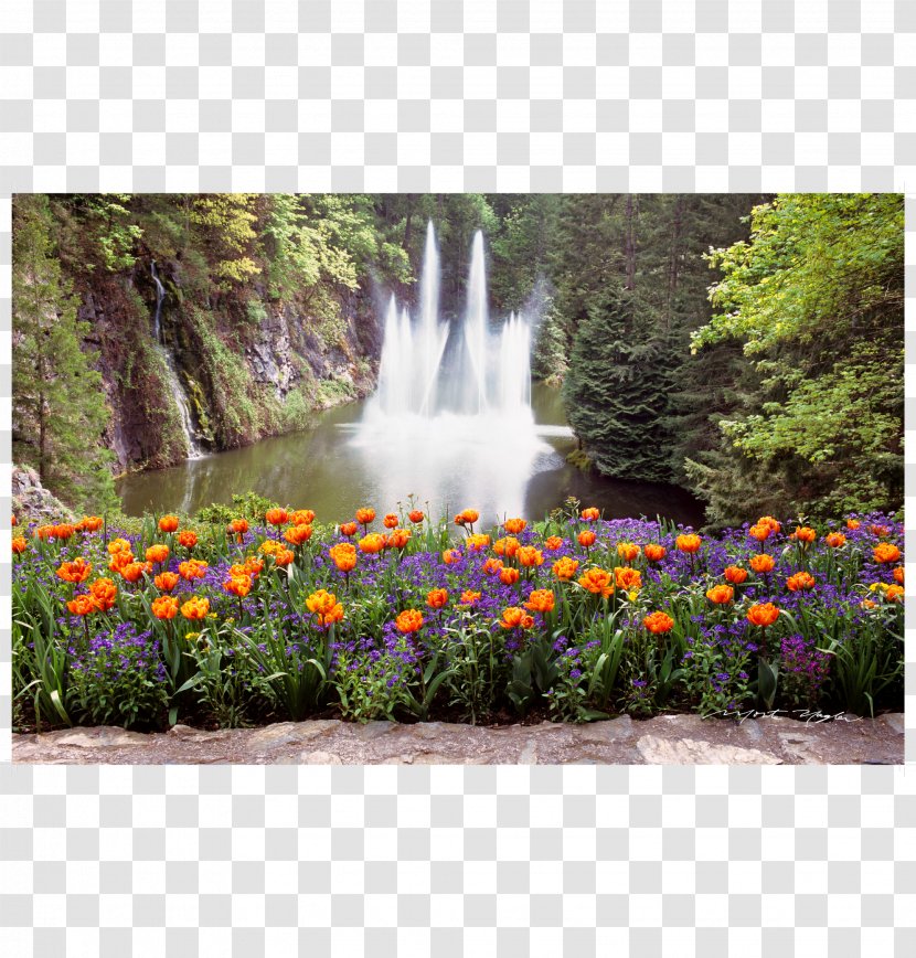 Botanical Garden Water Resources Waterfall Lawn - Plant Transparent PNG