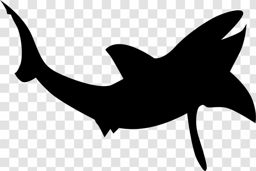 Shark Silhouette Clip Art - Dolphin - The Beluga Whale Transparent PNG