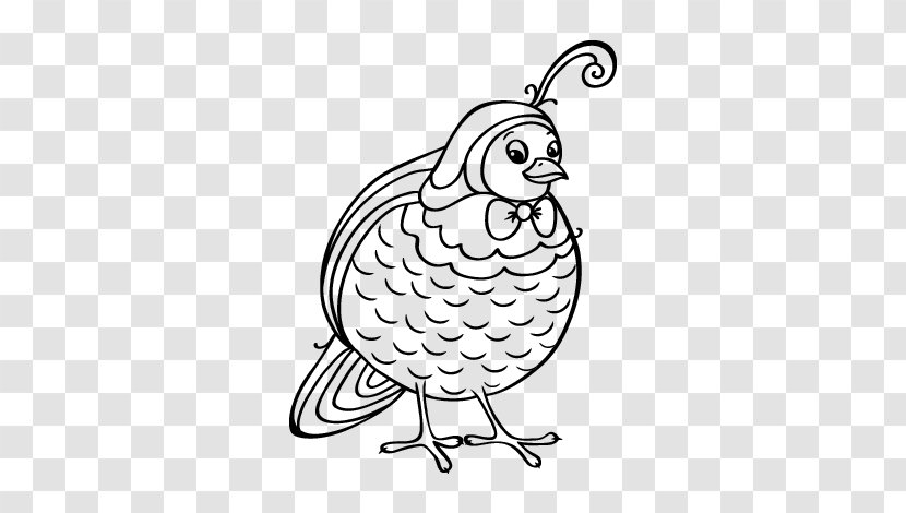 Bird Drawing Woodpecker Coloring Book Painting - Woody - French Horn Page Transparent PNG