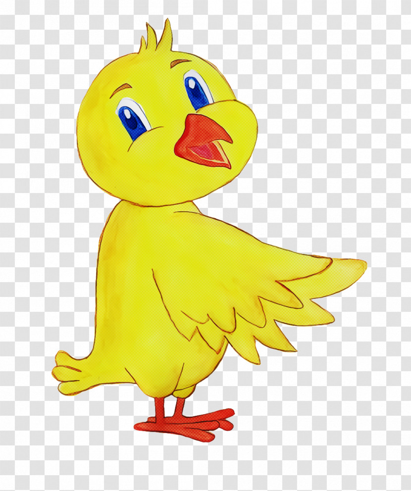 Duck Landfowl Birds Chicken Beak Transparent PNG