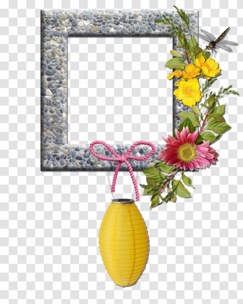 Picture Frames Floral Design Clip Art - Photography - Flowering Plant Transparent PNG