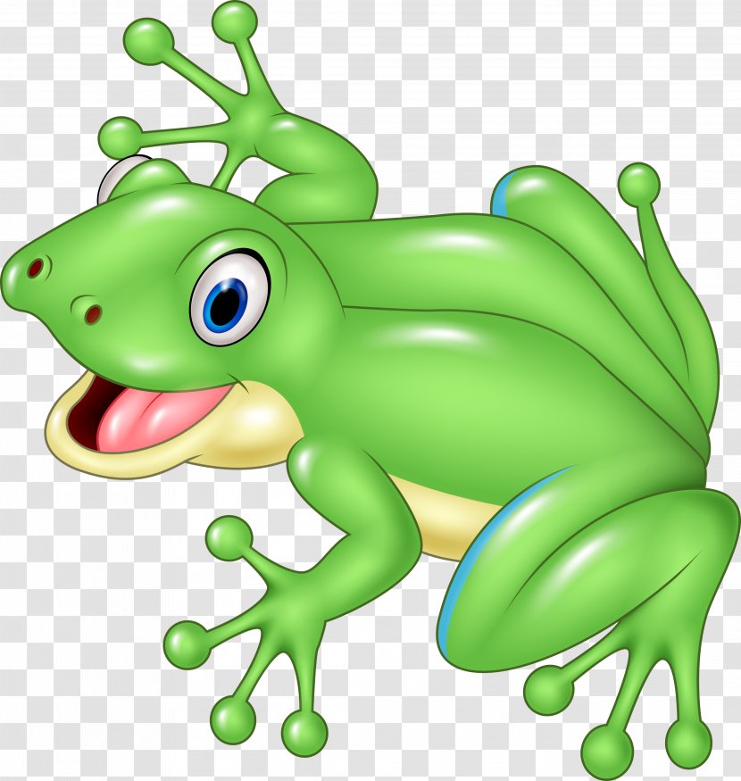 Frog Cartoon Royalty-free Illustration - Organism - Vector Transparent PNG