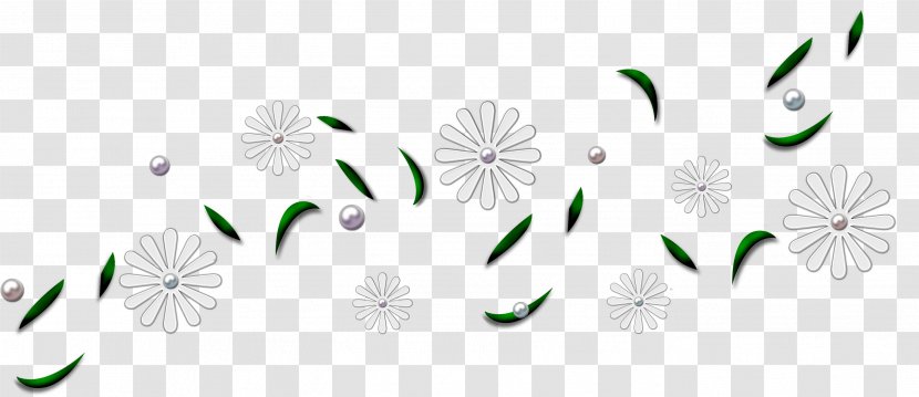 Color Author Spring Clip Art - Flowering Plant - Icicles Transparent PNG