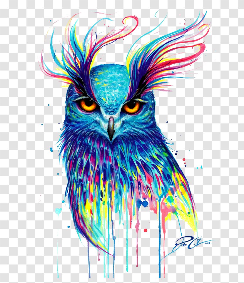 Owl T-shirt Bird Drawing Painting - Vertebrate Transparent PNG