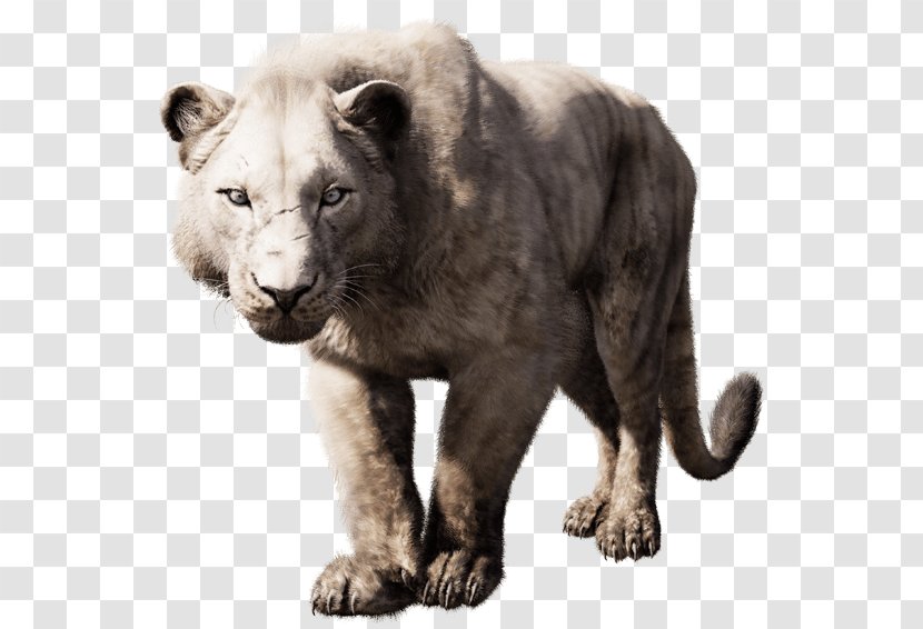 Far Cry Primal 4 Panthera Leo Spelaea Saber-toothed Cat - Snout Transparent PNG