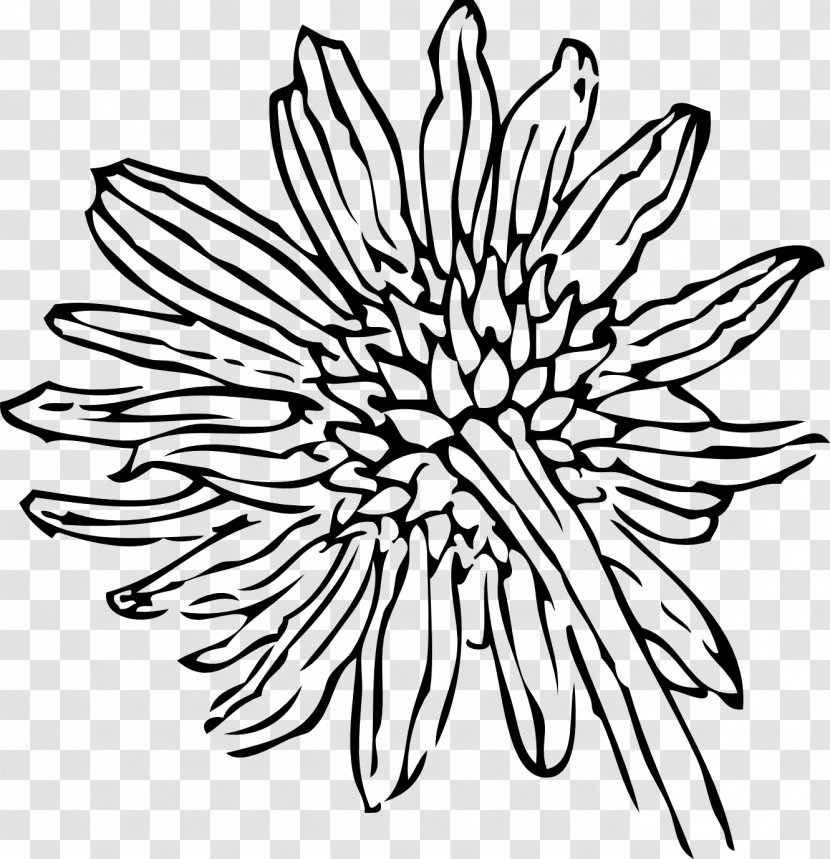 Floral Design Black & White - M Cut Flowers Transparent PNG