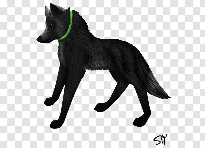 Dog Red Fox Fur Wildlife - Wolf And Moon Transparent PNG