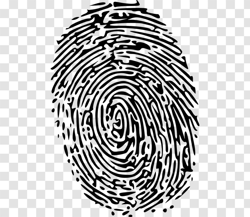 Fingerprint Detective Clip Art - Monochrome - Chase Criminals Transparent PNG