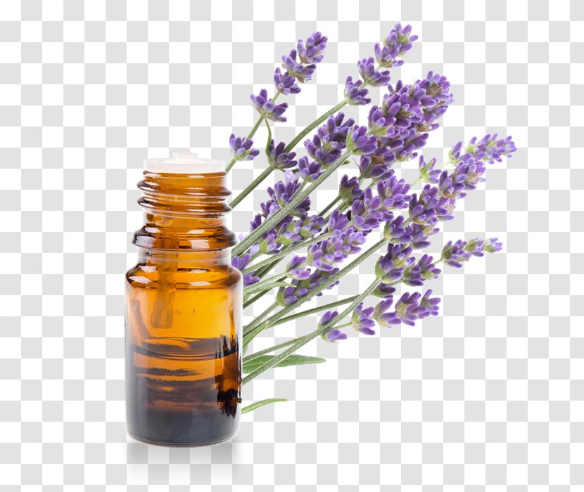 English Lavender Oil Essential Provence - Aleppo Soap - Millet Transparent PNG