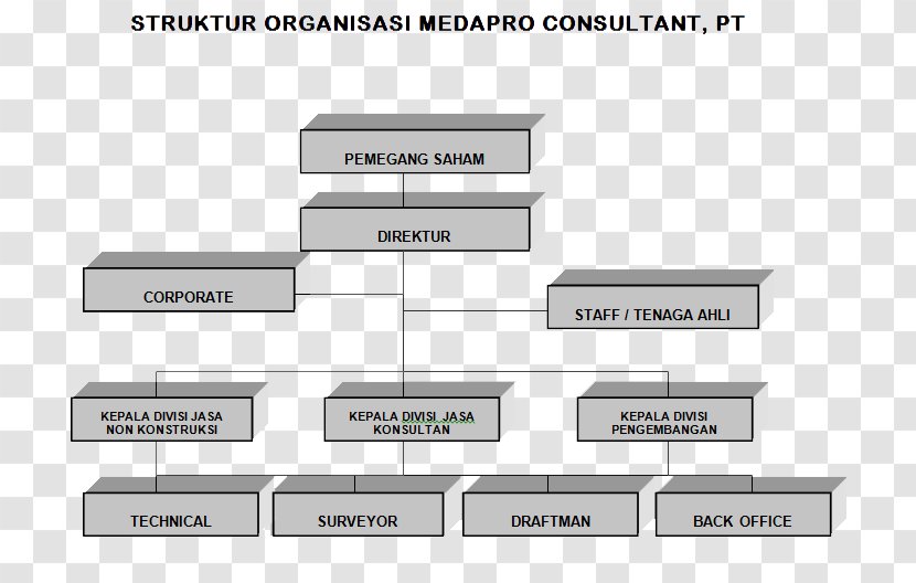 Consultant Organizational Structure Management Consulting Planning - Text - Business Transparent PNG