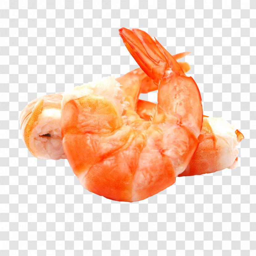 Giant Tiger Prawn Shrimp Squid As Food - Dendrobranchiata Transparent PNG