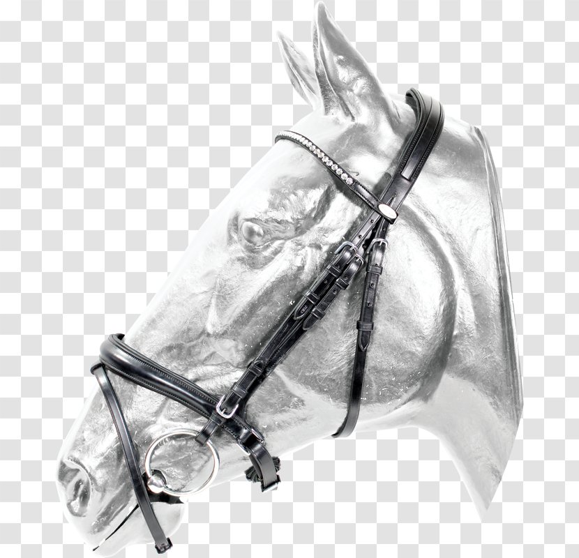 GNL Riding Shop Horse Bridle Noseband Equestrian Transparent PNG