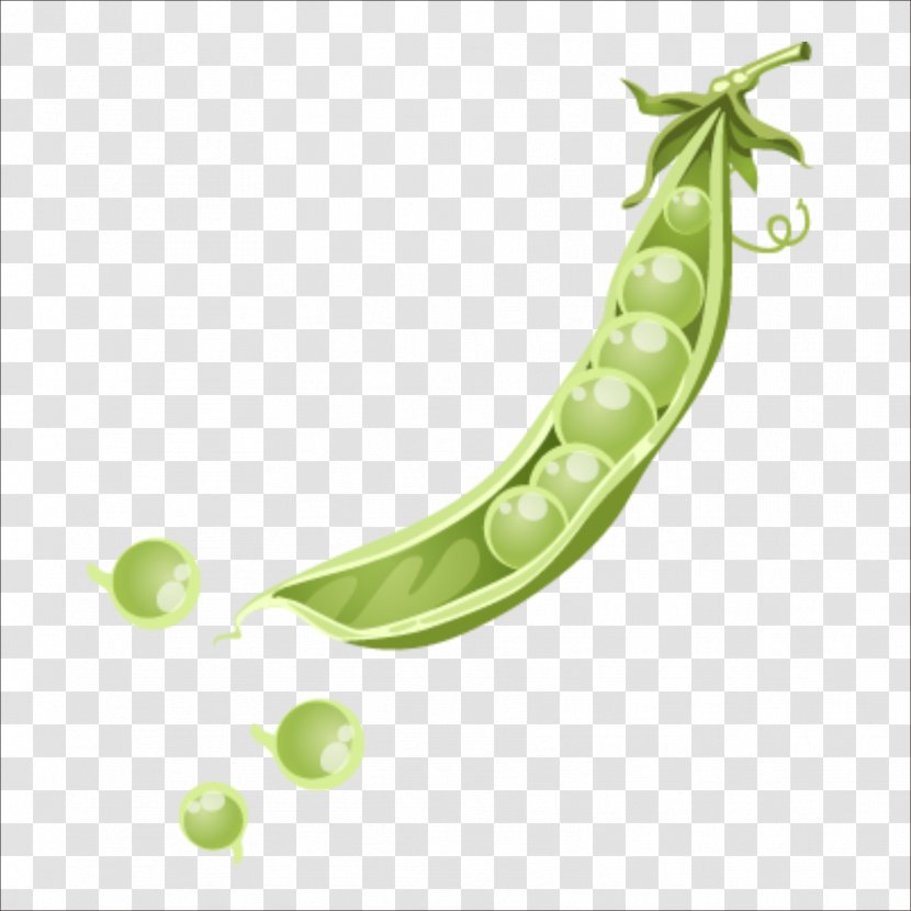 Netherlands Snow Pea Icon - Green - Peas Transparent PNG