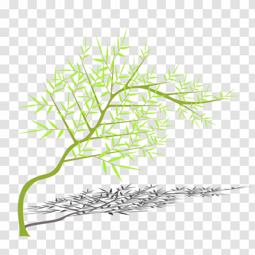 Bamboo Tree Branch Transparent PNG