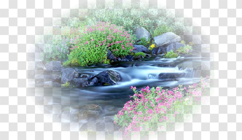 Paradise River Desktop Wallpaper Nature Landscape - Water Resources - Garden Center Transparent PNG