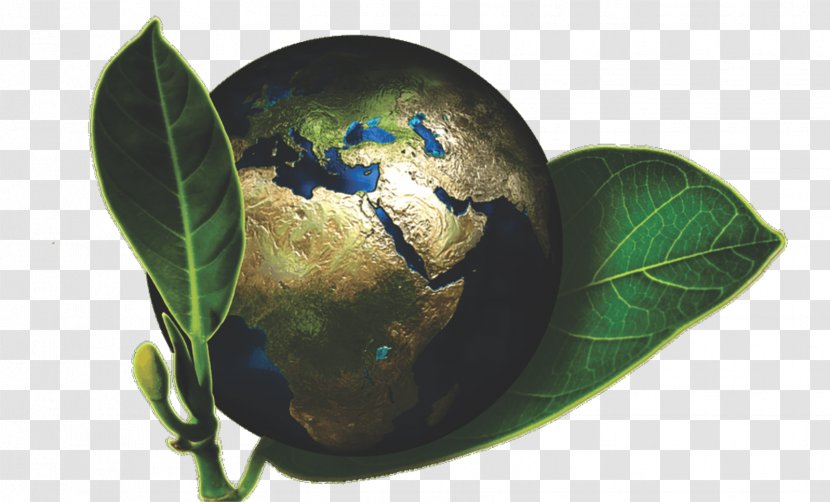 Ecology Natural Environment Environmental Protection Earth Transparent PNG