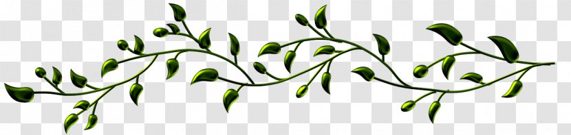 Interflora Bossez Fleurs Membre Genealogy Leaf Branch 0 - Prophet - Text Transparent PNG