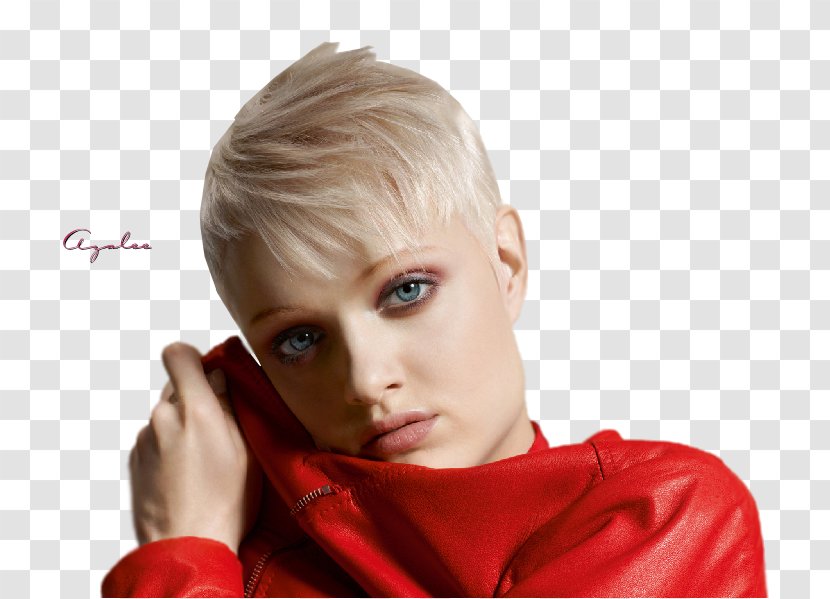 Hairstyle Blond Fashion Hair Coloring - Forehead Transparent PNG