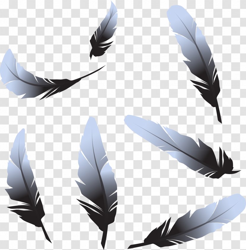 Feather - Drawing - Eagle Law Transparent PNG