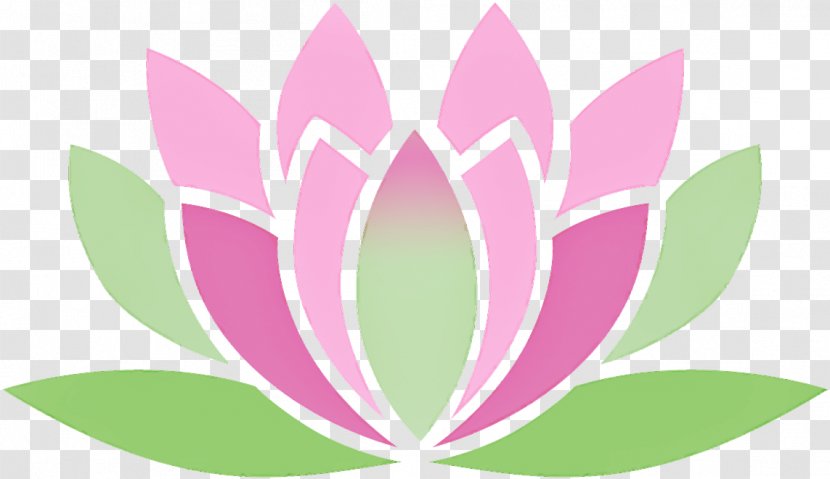 Lotus - Flower Transparent PNG