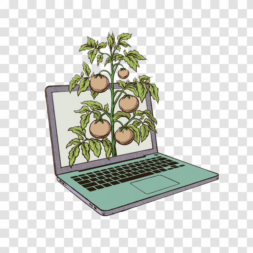 Australia Illustrator Art Illustration - Food - Grow Fruit Trees Notebook Transparent PNG