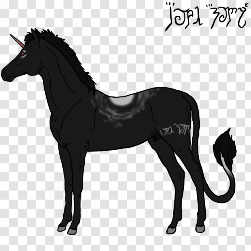 Foal Stallion Mane Mustang Mare Transparent PNG