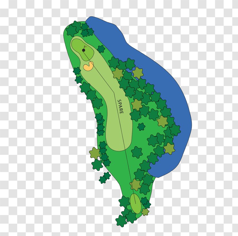 Golf Course Clubs Tees Par - Tree Transparent PNG