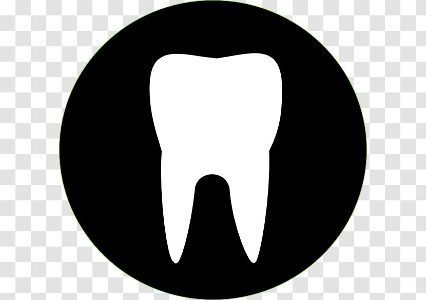 Human Tooth Dentistry Clip Art - Cartoon - Black Cliparts Transparent PNG