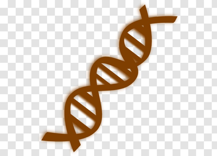 DNA Vector Clip Art - Symbol Transparent PNG