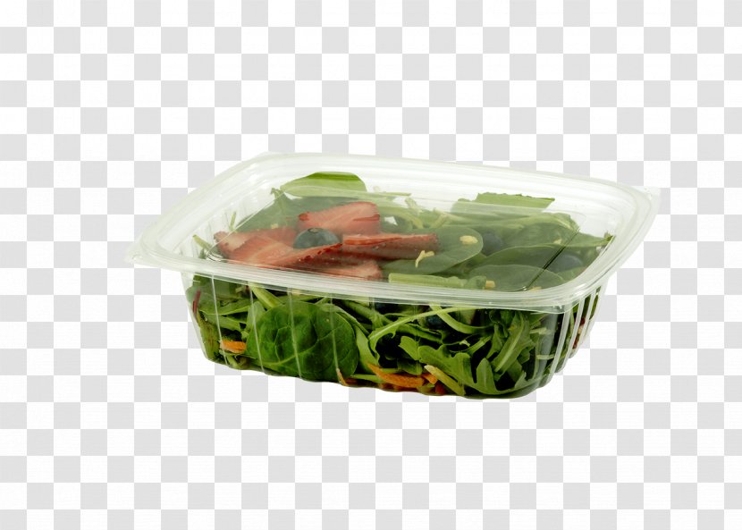 Take-out Paper Delicatessen Plastic Polylactic Acid - Biodegradable - Box Transparent PNG