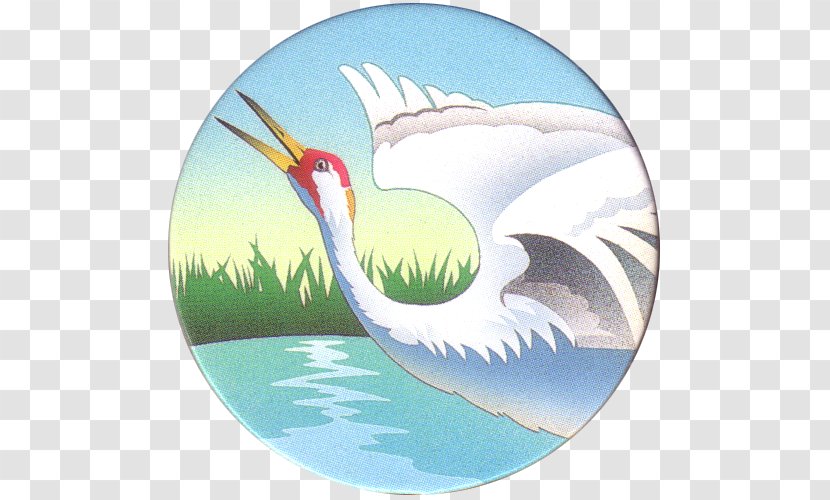 Beak Crane Seabird - Water Bird Transparent PNG