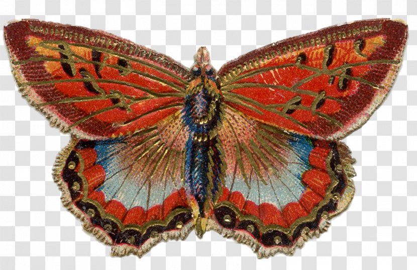 Butterfly Indigo Children Paper - Monarch Transparent PNG
