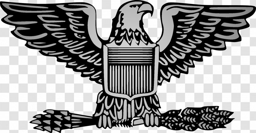 Lieutenant Colonel Military Rank United States Army Officer Insignia - Vertebrate - Eagle Transparent PNG