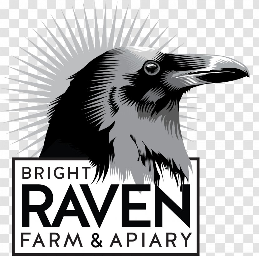 Birthday Cake Raven Energy ASX:REL Bright Farm Education Center - Greeting Note Cards - Happy To You Transparent PNG
