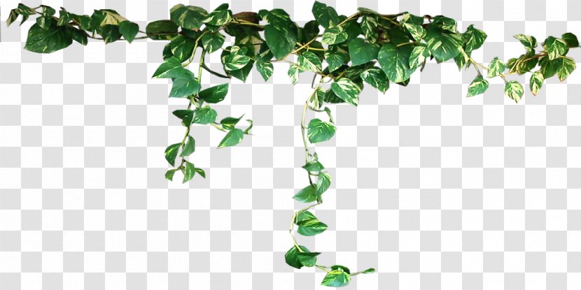 Houseplant Clip Art - Flowering Plant Transparent PNG
