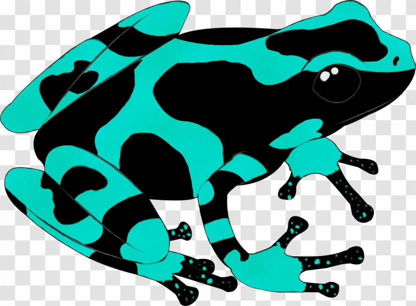 Toad Frogs Amphibians Frog Tree Frog Transparent PNG
