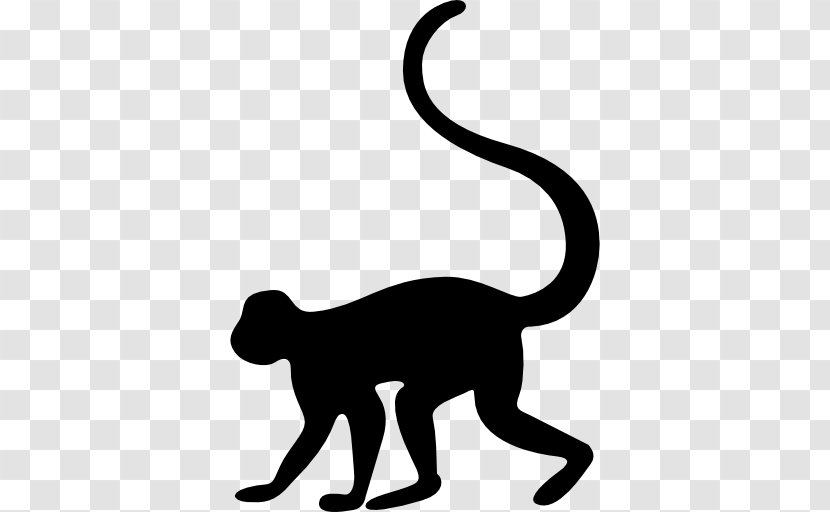 Old World Monkeys Cat Whiskers Padha - Monkey Transparent PNG