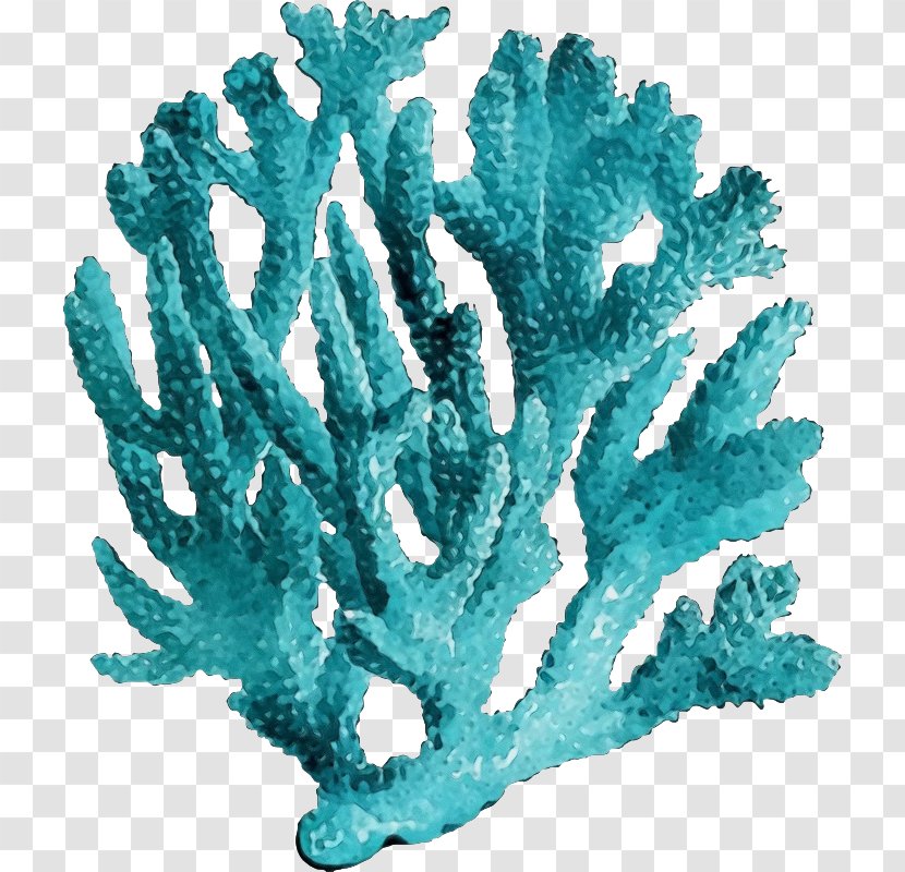Aquarium Decor Turquoise Coral Reef Plant - Marine Invertebrates Fish Supply Transparent PNG